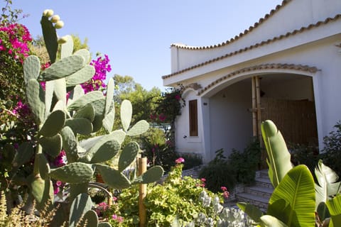 Facade/entrance, Garden, Decorative detail