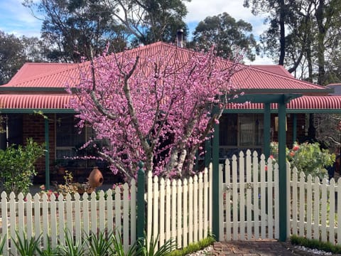 Property building, Spring