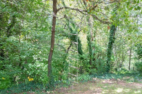 Patio, Garden, Garden view