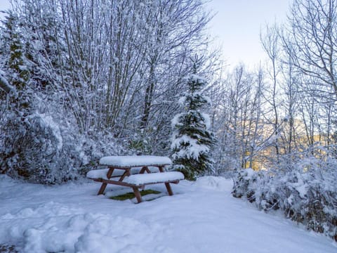 Winter, Garden