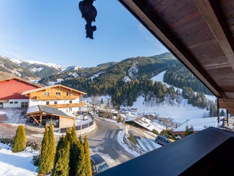 Winter, View (from property/room)