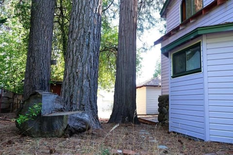 Abundant Gem Home near downtown Mount Shasta - long term Maison in Mount Shasta