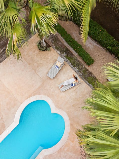 Day, Garden, Garden view, Pool view, Swimming pool, sunbed