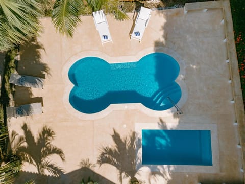 Day, Pool view, Swimming pool, sunbed