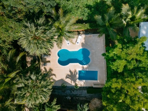 Day, Garden, Garden view, Pool view, Swimming pool, sunbed