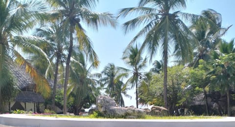 MARIA, the Star on the sea beach cottages - cottage MAMA Apartment in Malindi