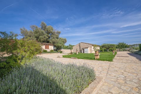 Patio, Garden, Garden view