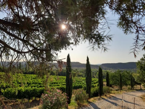 Mountain view, Sunrise