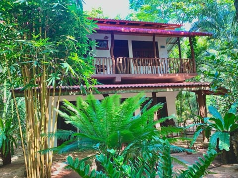 Walawa Blue Sapphire Bed and Breakfast in Southern Province
