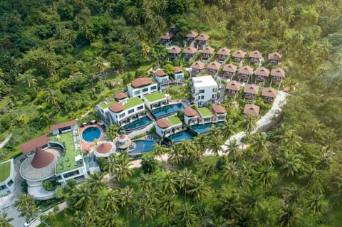 Bird's eye view, Other