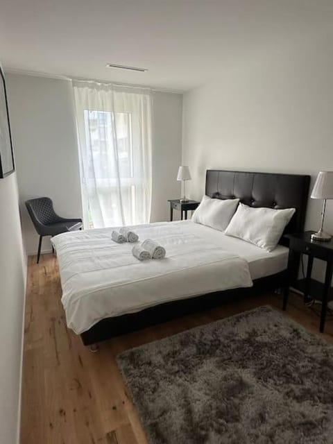 Modern Apt with top location in Kloten Apartment in Kloten