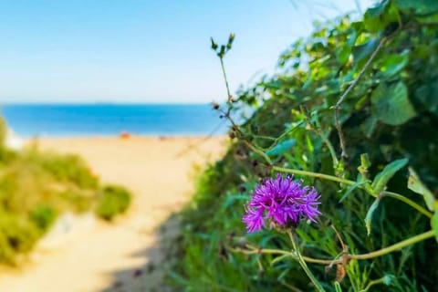 Natural landscape, Beach, Sea view