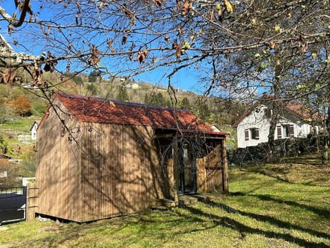 Le clos de Félicie - Maison de famille - La Bresse Villa in La Bresse