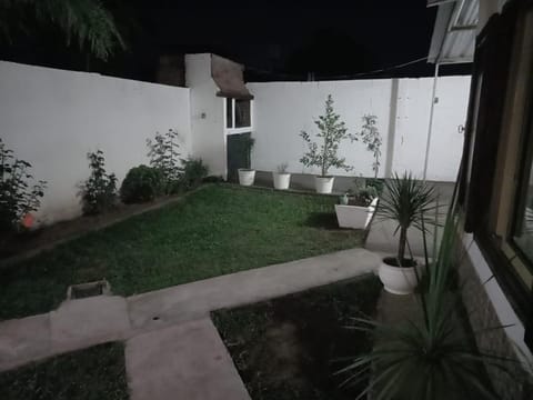 Night, Garden, Garden view