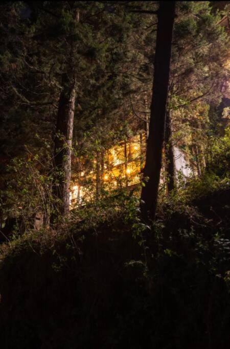 The Hill Story, Entire Chalet, Offbeat,Cozy Chalet in Uttarakhand