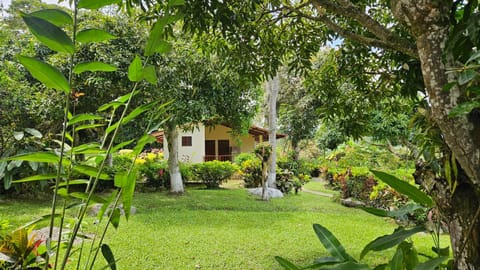 Property building, Natural landscape, Garden, Garden view