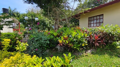 Spring, Garden, Garden view