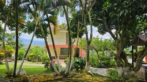 Property building, Garden, Garden view