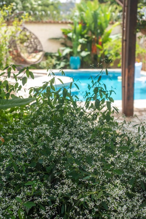 Spring, Day, Garden, Garden view, Pool view, Swimming pool