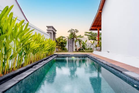 Day, Garden, Garden view, Pool view, Swimming pool