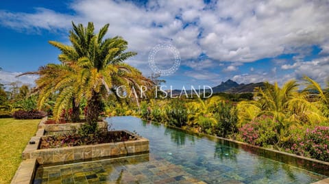 Natural landscape, Garden view, Pool view