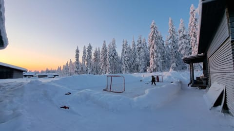 Arctic Giantlog Villa with a private ice field Villa in Rovaniemi