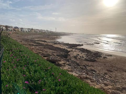 Natural landscape, Beach, Sea view