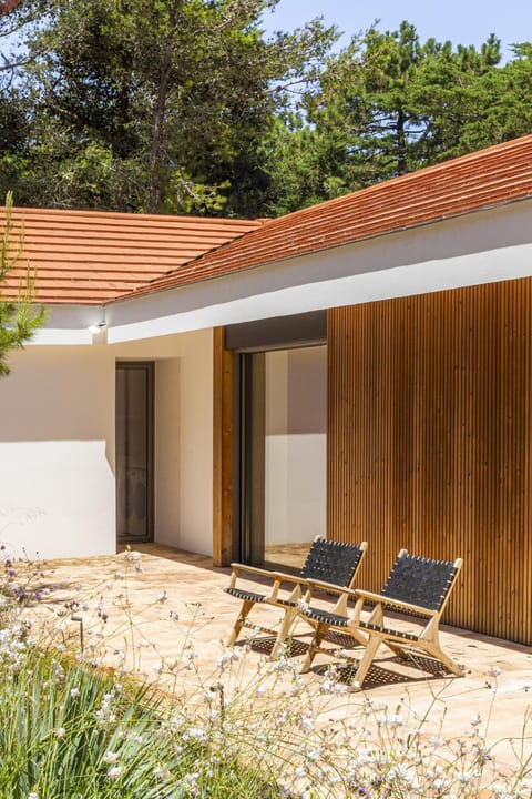 Havenwood Villa by Cadenzalux Villa in Cascais