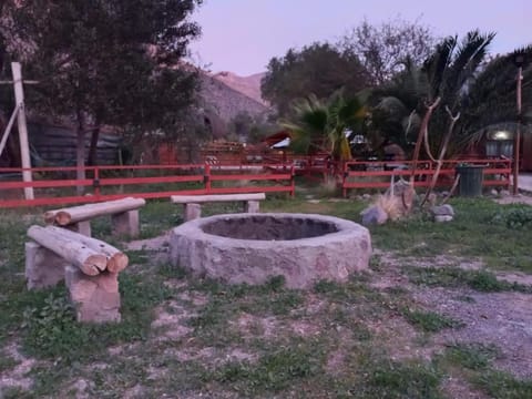 Casa Los Cactus House in Coquimbo Region