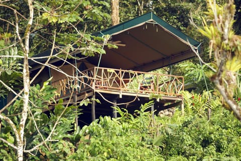 Rafiki Safari Lodge Nature lodge in Quepos