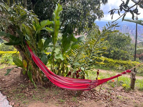 Aloha Glamping Campground/ 
RV Resort in Bucaramanga