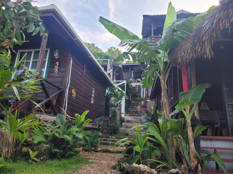 Property building, Garden view