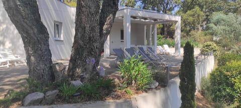 Property building, Spring, Day, Garden