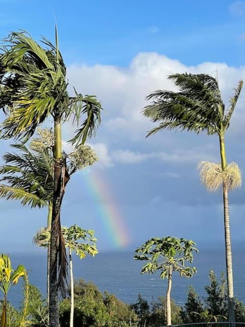 Waipio Ocean View Oasis House in Kukuihaele