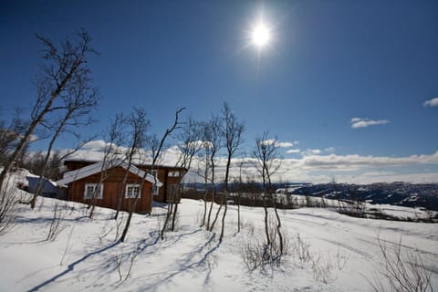 Property building, Winter