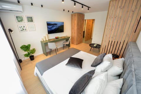 Bed, TV and multimedia, Living room, Photo of the whole room, Seating area, wardrobe, air conditioner