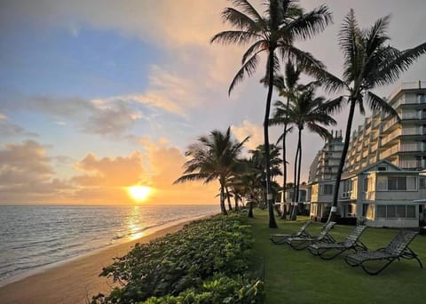 Pats at Punalu'u - Beachfront Studio 4 House in Punaluu