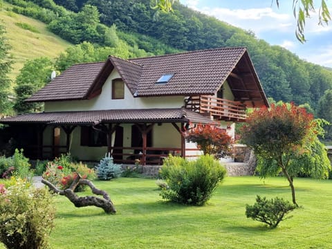 Casa de Piatra House in Romania