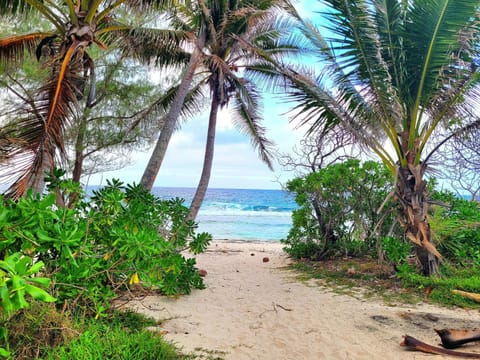 Day, Natural landscape, Beach, Sea view