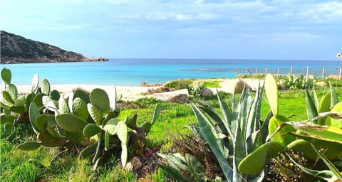 Résidence Fioravanti Villas Valinco Apartment in Corsica