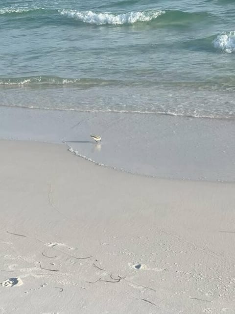 Natural landscape, Beach