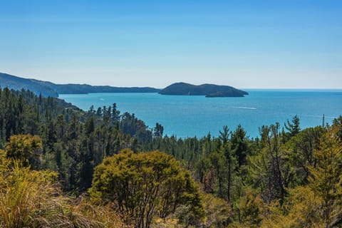 Kaiteriteri Escape House in Tasman District, Tasman, New Zealand