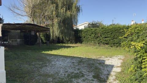 Patio, Garden, Garden view