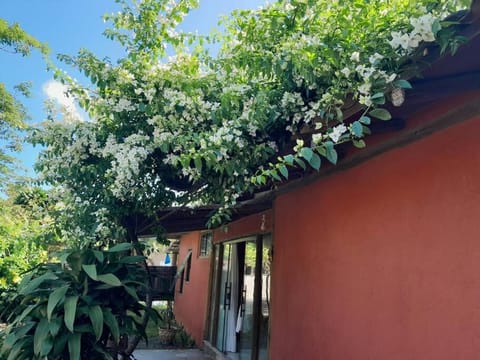 Property building, Garden view