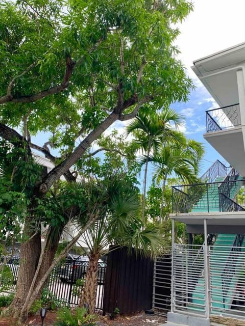 GroveO1 10 min from the beach Apartment in Coconut Grove