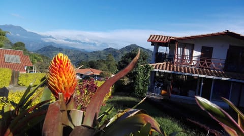 Garden view, Mountain view