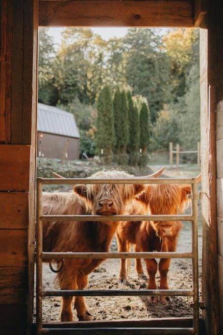 Highland Farms - Your Private Forest Farm House in Mount Hood Village