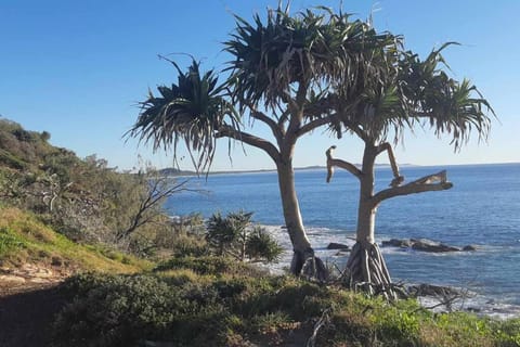 The Original Yaroomba Beachhouse House in Coolum Beach