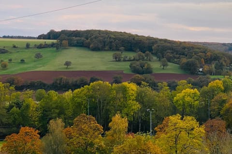 PenthouseBlick Apartment in Mainz-Bingen