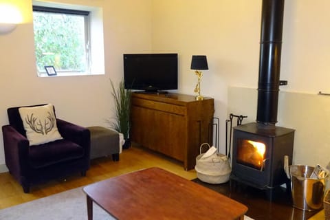 Communal lounge/ TV room, fireplace